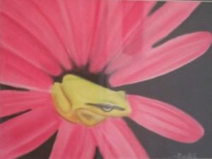 Voir le détail de cette oeuvre: The pink lady frog