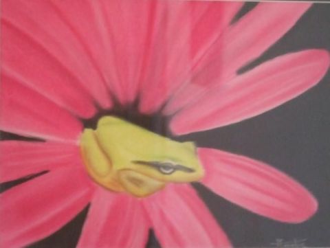 The pink lady frog